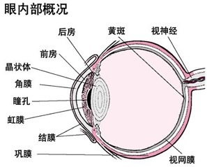 搜索
