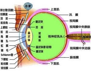 搜索