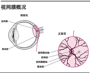 搜索