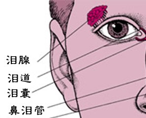 搜索