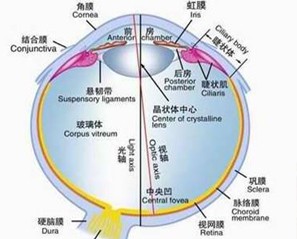 搜索