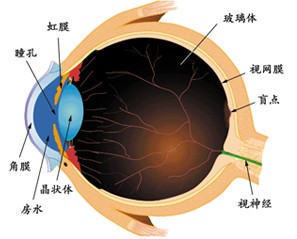搜索