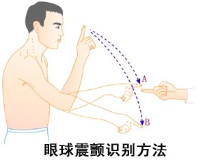 搜索