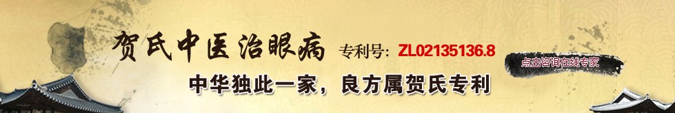专家团队