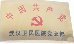 铜仁卫民医院党支部